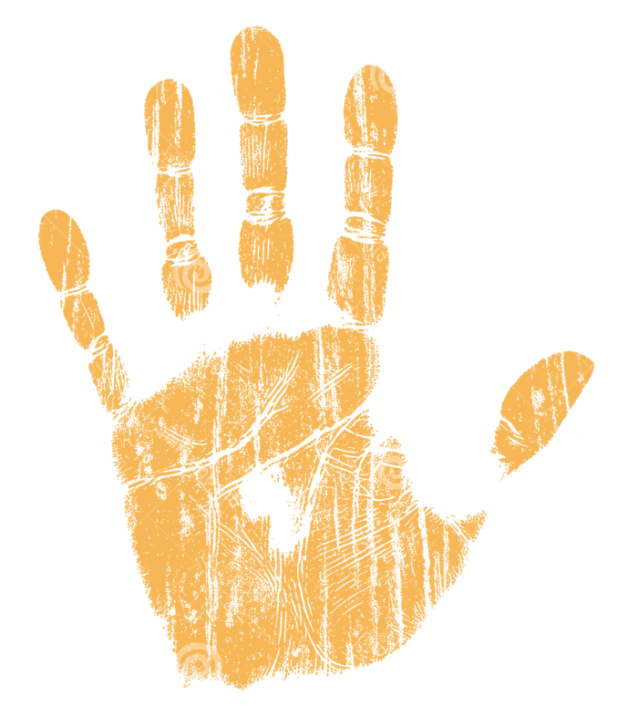 Palm Template